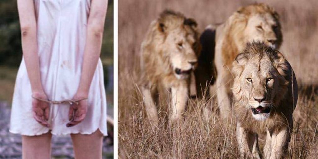 Tecavüzcüler Tarafından Kaçırılan 12 Yaşındaki Kızı 3 Aslan Kurtardı