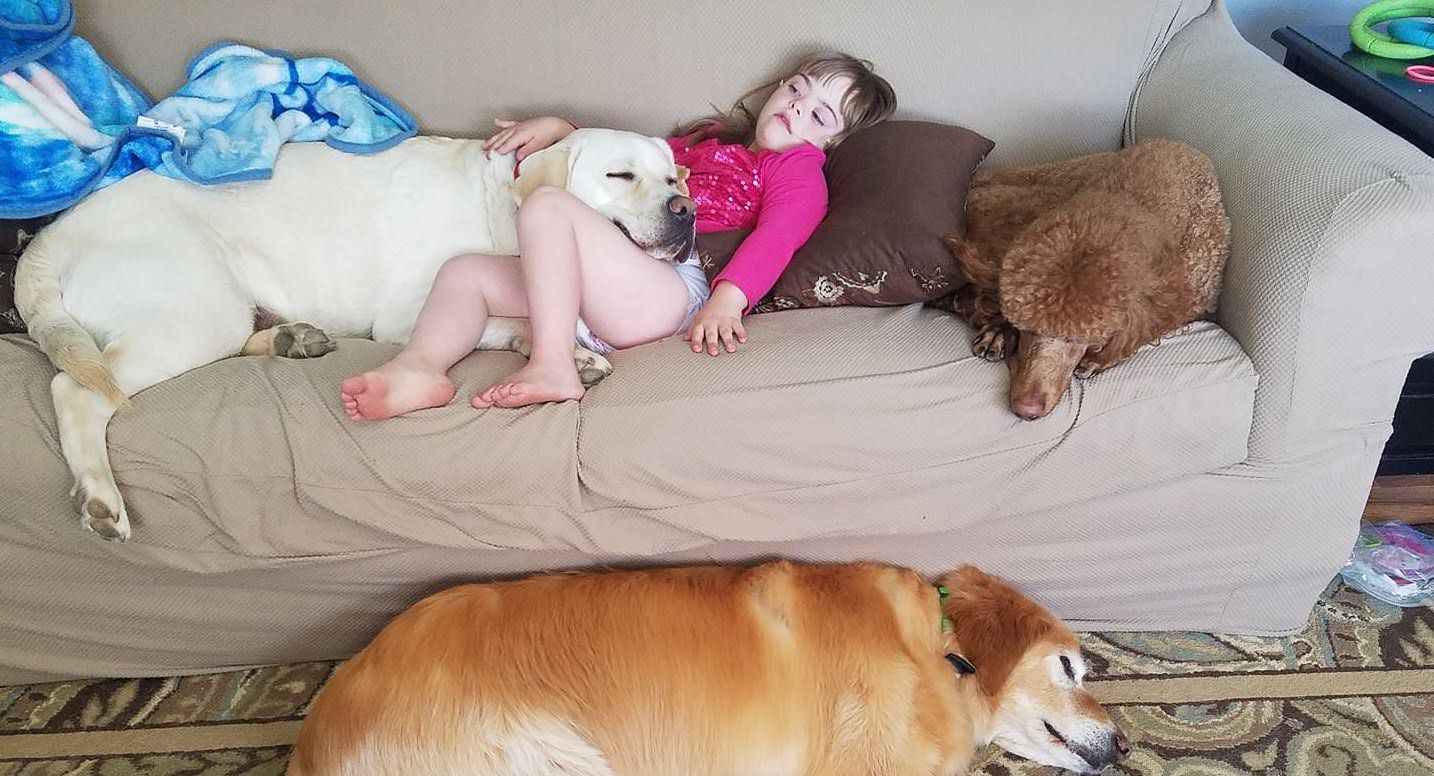 İnanılmaz Sezgi Gücü Olan Köpek Küçük Kızın Hayatını Böyle Kurtardı