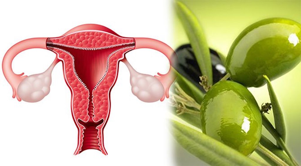 Bu yiyecekler Allah’ın Bir Lütfu: Şifa Verdiği Organa Benzeyen Yiyecekler…!