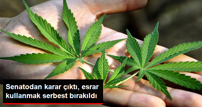 Kanada, Keyif Amaçlı Esrar Kullanımını Serbest Bıraktı