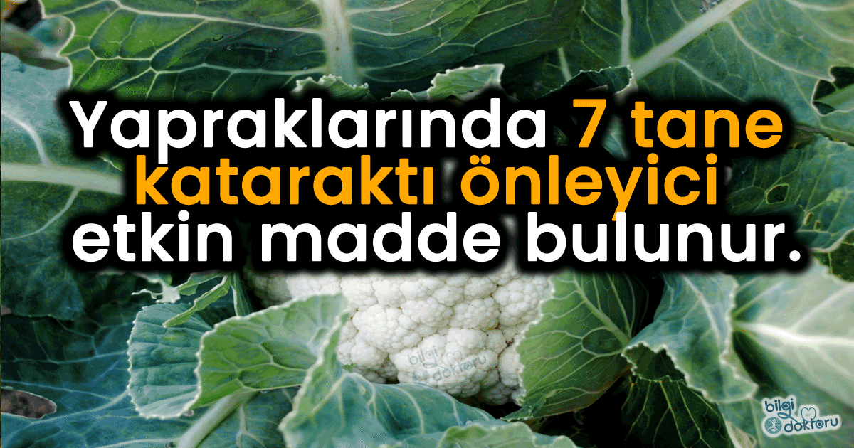 Karnabaharın Faydaları – Karnabahar Yaprağı