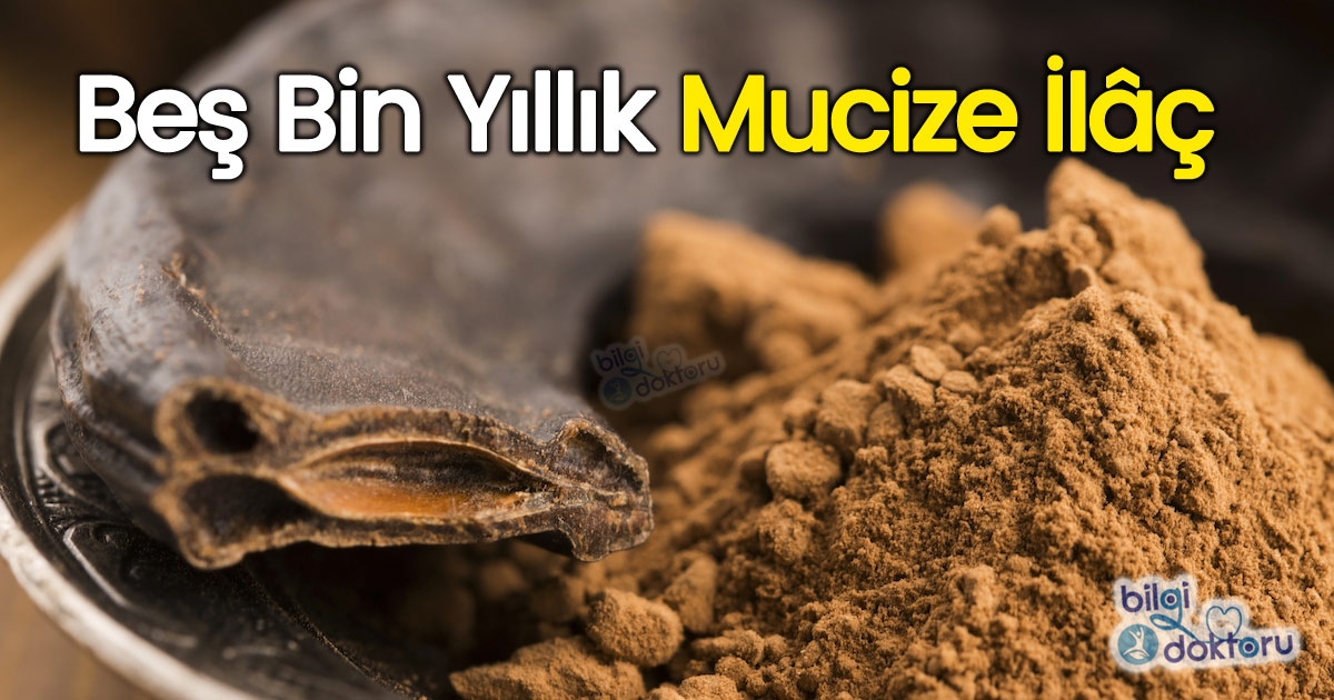 Keçiboynuzu Tozu Faydaları – Harnup Unu Kullanımı