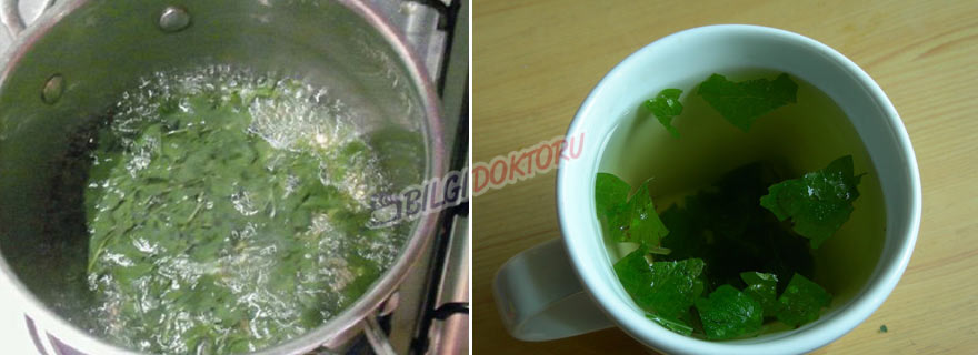 Siz Uyurken Yağ Yakan Kaynatılmış Maydanoz Suyu