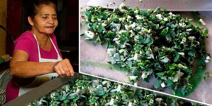 KEKİK MUCİZESİ – Kekik Çayının Faydaları