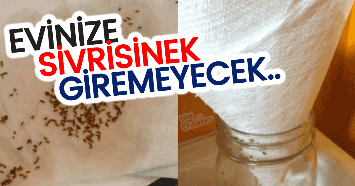 Sivrisinekleri Evden Kovma Yöntemi – Sivrisinek Tuzağı