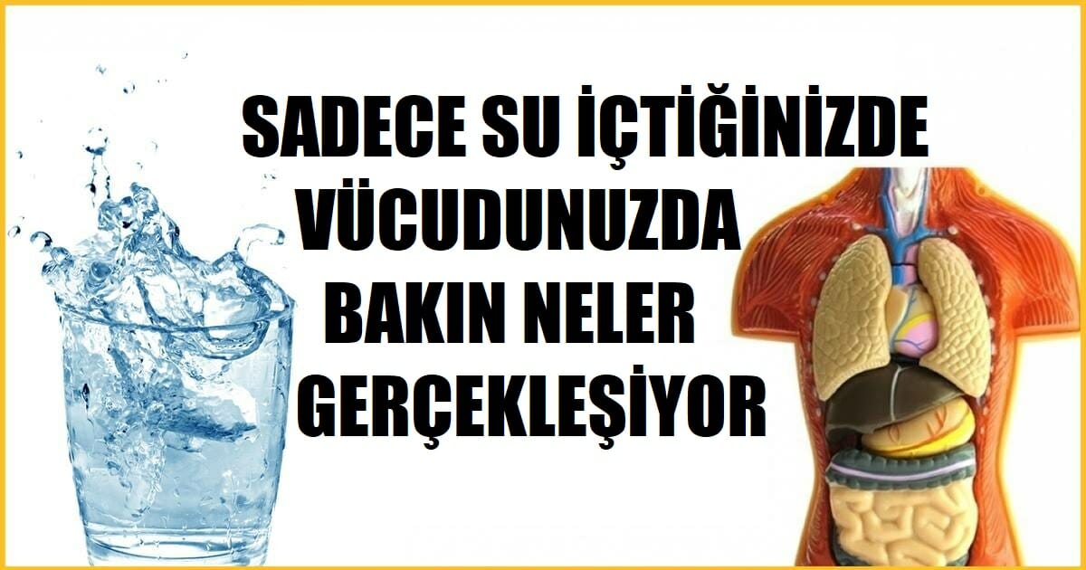 Sıvı Olarak Sadece Su Tükettiğinizde Bakın Vücudunuzda Neler Meydana Geliyor