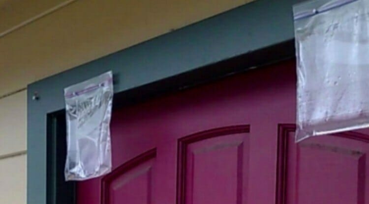 Yaz Aylarında Kapınızın Girişine İçi Su Dolu Poşet Asmanız İçin Zekice Neden