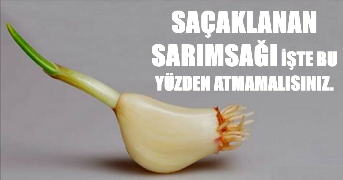 Saçaklanan Sarımsağı İşte Bu Yüzden Çöpe Atmamalısınız
