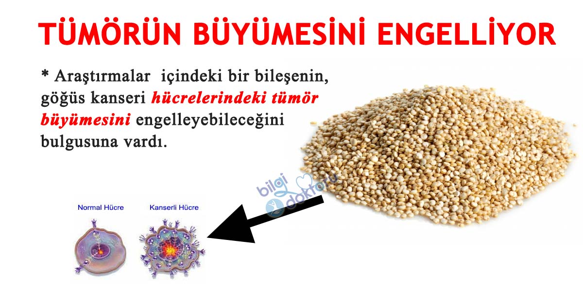 Amaranth Tohumu Faydaları