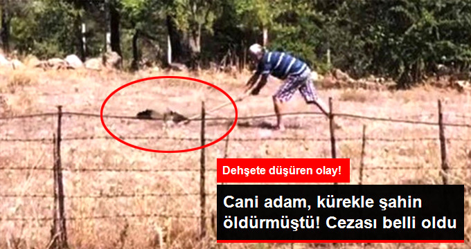 Kürekle Şahin Öldüren Caniye 10 Bin TL Para Cezası Verildi