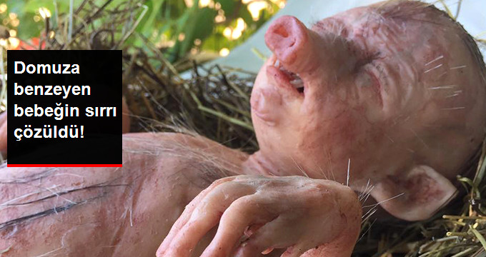 ”Kur’an Yırtan Kız” ve ”Domuzun Doğurduğu İnsan Yavrusu” Şeklinde Paylaşılan Fotoğraflar Heykel Çıktı