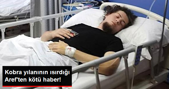 Kobra Yılanının Isırdığı Aref’in Menajeri: Kısmi Felç Gözüküyor