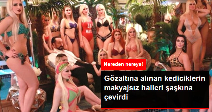 Gözaltına Alınan Kediciklerin Makyajsız Halleri Görenleri Şaşkına Çevirdi