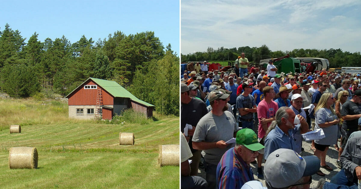 Ailesinin Çiftliğini Geri Almak İçin Açık Artırmaya Katıldı – Katılımcılar Seslerini Çıkarmayınca Şok Oldu
