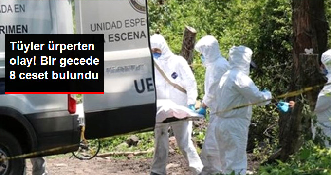 Meksika’da Art arda Bulunan 8 Ceset Halka Korku Saldı