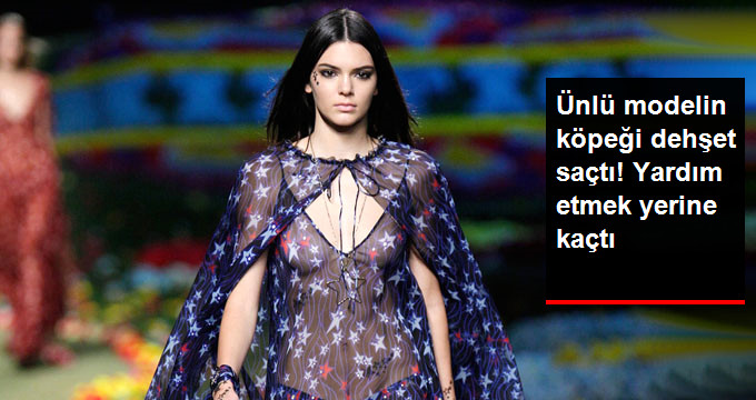 Kendall Jenner’ın Köpeği Küçük Çocuğu Isırdı