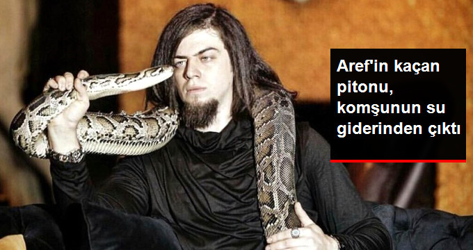Sihirbaz Aref Ghafouri’nin Kafesinden Kaçan Piton Yılanı, Komşunun Balkonunun Su Giderinden Çıktı