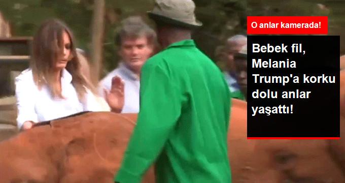 ABD Başkanı’nın Eşi Melania Trump, Bebek Filin Şiddetine Uğradı