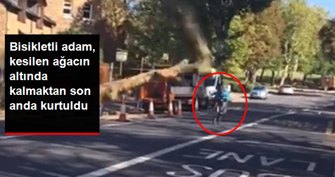 Bisiklet Süren Adam, Yola Düşen Ağacın Altında Kalmaktan Kıl Payı Kurtuldu
