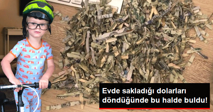 2 Yaşındaki Çocuk, Babasının Maç İçin Biriktirdiği 1060 Doları Doğradı