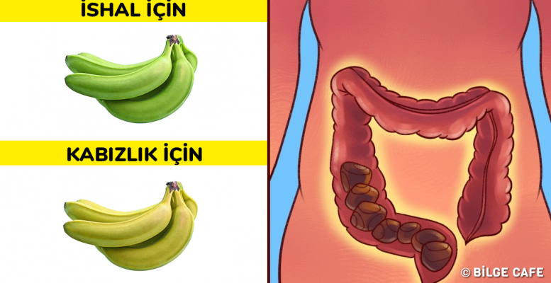 Sindirim Sisteminizi Düzene Oturtacak 4 Yöntem