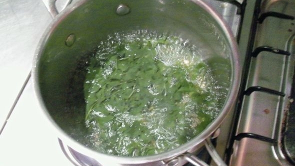 Kaynatılmış Maydanoz Suyu Mucizesi