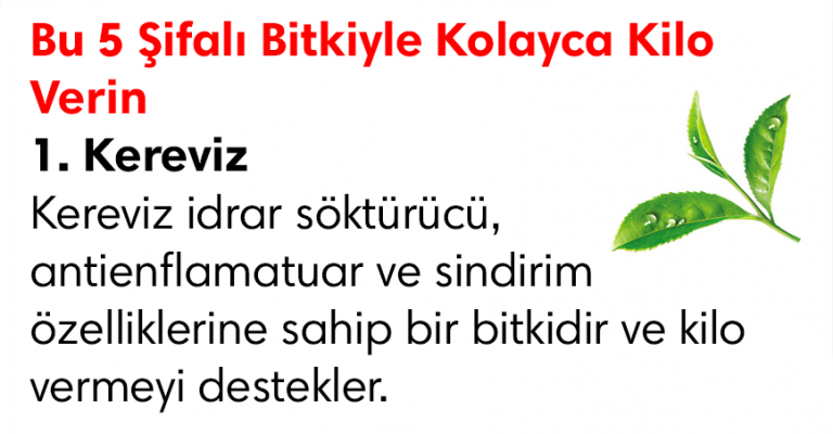 Bu 5 Şifalı Bitkiyle Kolayca Kilo Verin