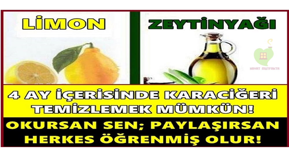 4 Ay İçersinde Karaciğeri Temizlemek Mümkün