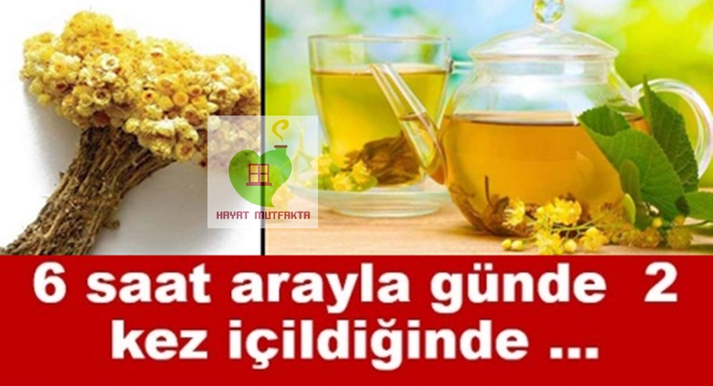 Yılların Çileli Hastalığına ve Bir Çok Rahatsızlığa Son Veren Bitki