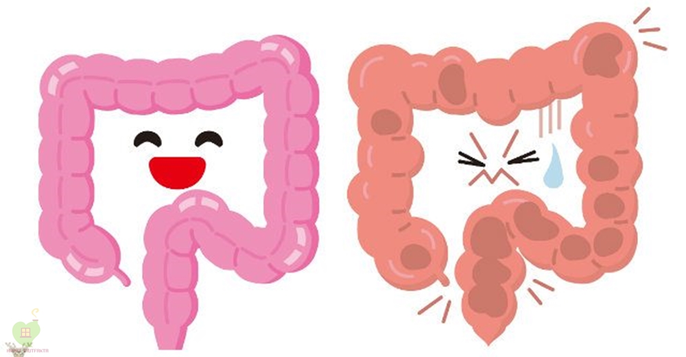 Bağırsaklarınızı Bu Tamamen Doğal Yöntem İle %100 Temiz İlk Günkü Gibi Yapın