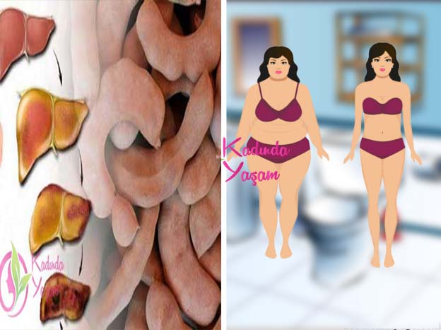 Karaciğerinizi 20 Yaş Gençleştirin 20 Kilo Verin!