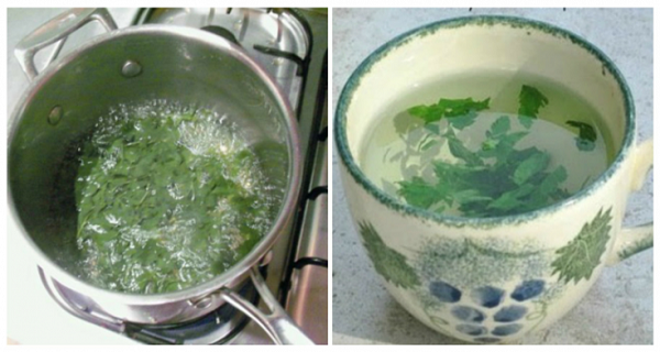 Mucize Bitki! Bu kadın Perşembe günü 68 kg’dı ve cumartesiye kadar 63 kg’a düştü!