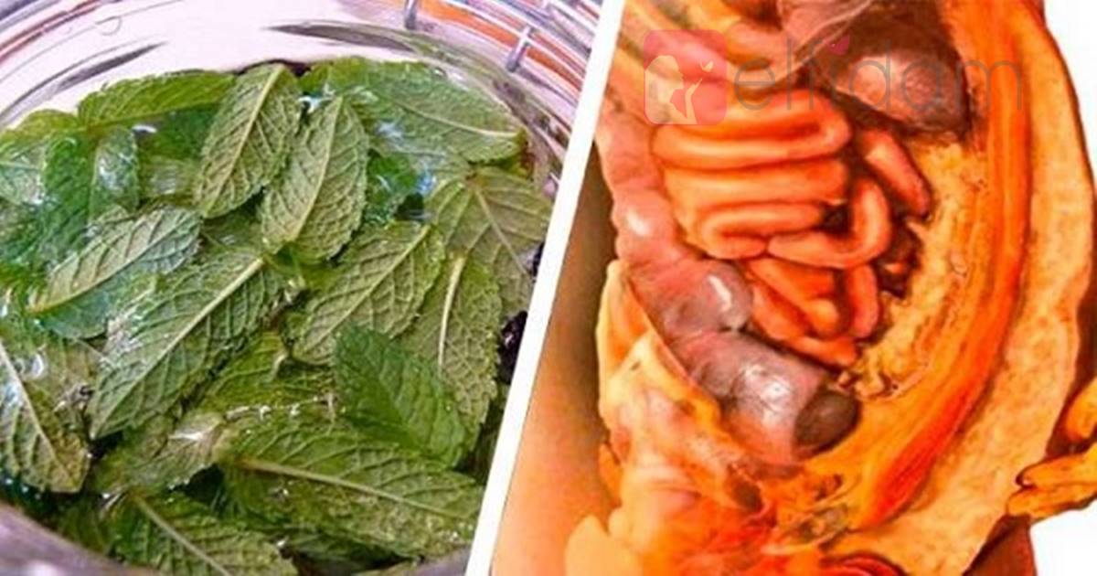 Sadece 1 yudumu yetiyor karaciğeri yenilemeye karnı dümdüz yapmaya!