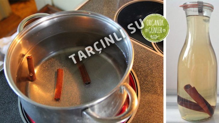 Tarçınlı Su ile Zayıflama Diyeti