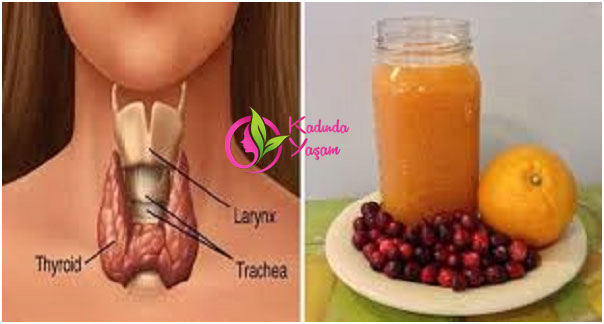 Bu 7 zehirli madde tiroidinizi yok eder bu karışım tirodinizi muhteşem yapar!