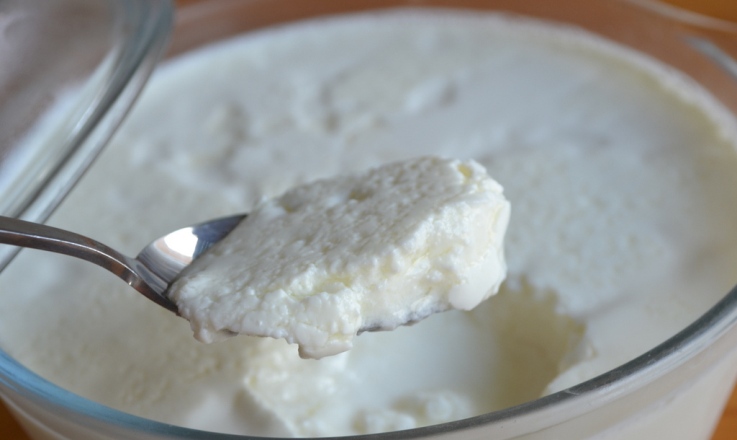 EVDE TAŞ GİBİ SERT, UZUN SÜRE EKŞİMEYEN YOĞURT NASIL YAPILIR?