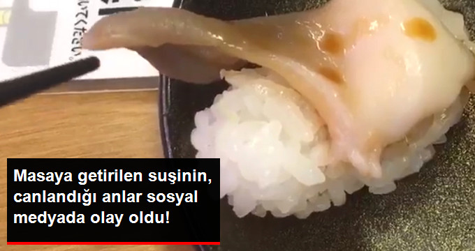 Japonya’da Bir Twitter Kullanıcısının Canlı Suşi Paylaşımı Büyük İlgi Gördü