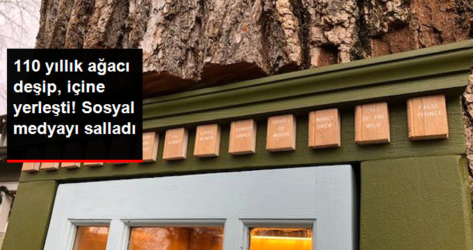 110 YILLIK ÖLÜ AĞACI DEŞİP, İÇİNE YERLEŞTİ!