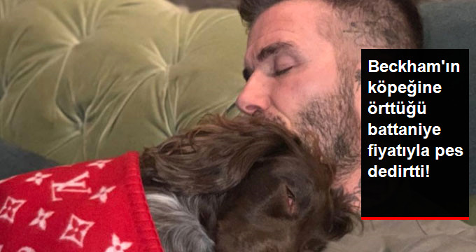 Beckham’ın Köpeğine Örttüğü Battaniye Fiyatıyla Pes Dedirtti
