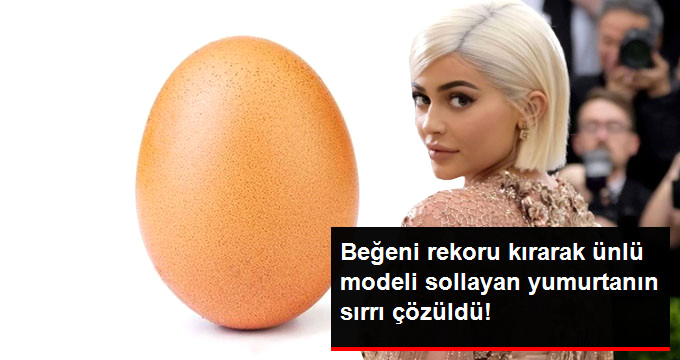 Beğeni Rekoru Kıran Yumurta Görselinin Ticari Hamle Olduğu Ortaya Çıktı