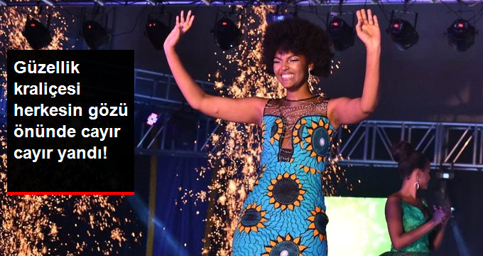 Kongo Güzelinin Saçı, Cayır Cayır Yandı