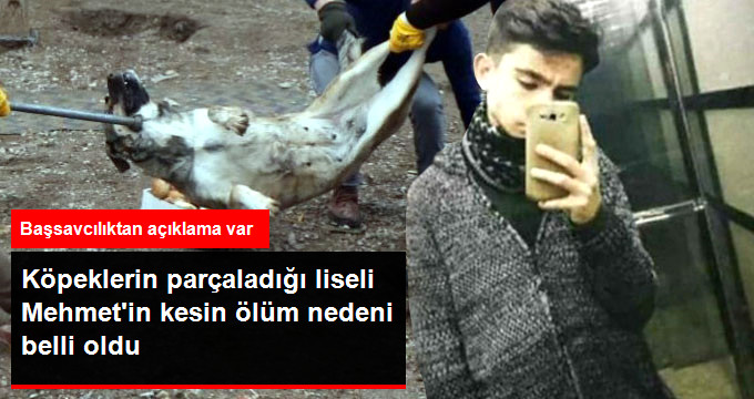 Köpeklerin Parçaladığı Liseli Gencin Kesin Ölüm Nedeni Belli Oldu