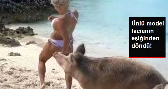 Ünlü Modelin Kalçasını Domuz Isırdı