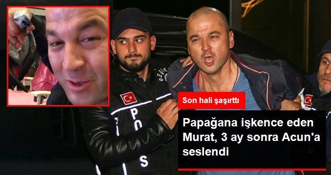 Papağana İşkence Uygulayan Murat Özdemir, Acun Ilıcalı’dan Özür Diledi