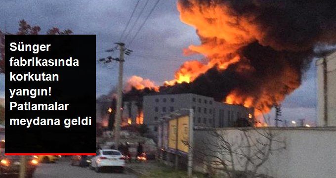 Sünger Fabrikasında Korkutan Yangın! Çok Sayıda Ekip Sevk Edildi