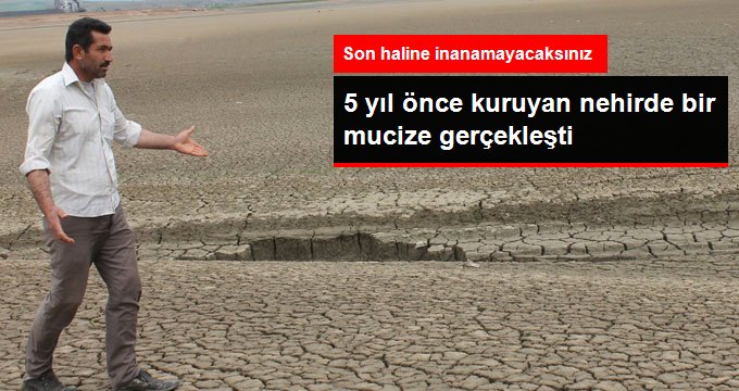 5 Yıl Önce Kuruyan Nehir, Bambaşka Görüntüye Büründü