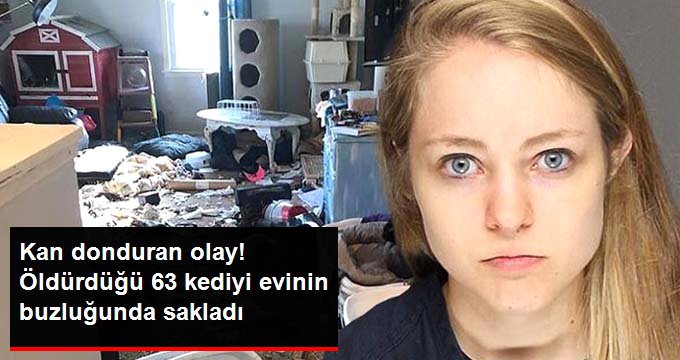 KAN DONDURAN OLAY! ÖLDÜRDÜĞÜ 63 KEDİYİ EVİNİN BUZLUĞUNDA SAKLADI