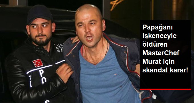 Papağanına İşkence Yapan Murat Özdemir Hakkında Karar Verildi