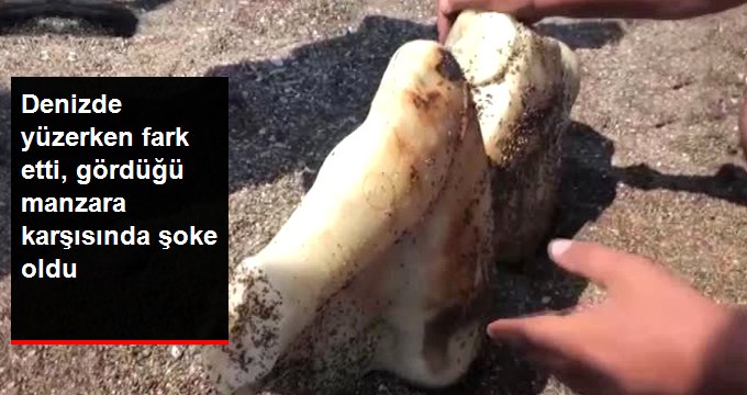 DENİZDE YÜZERKEN FARK ETTİ, GÖRDÜĞÜ MANZARA KARŞISINDA ŞOKE OLDU