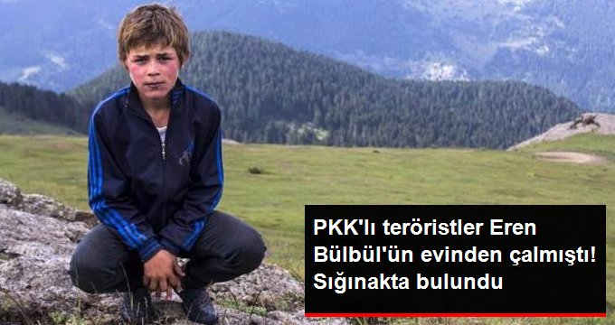 PKK’lı Teröristlerin Eren Bülbül’ün Evinden Çaldığı Eşyalar, Sığınakta Bulundu